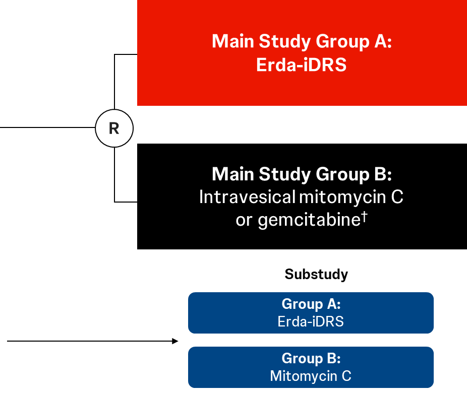 Study design