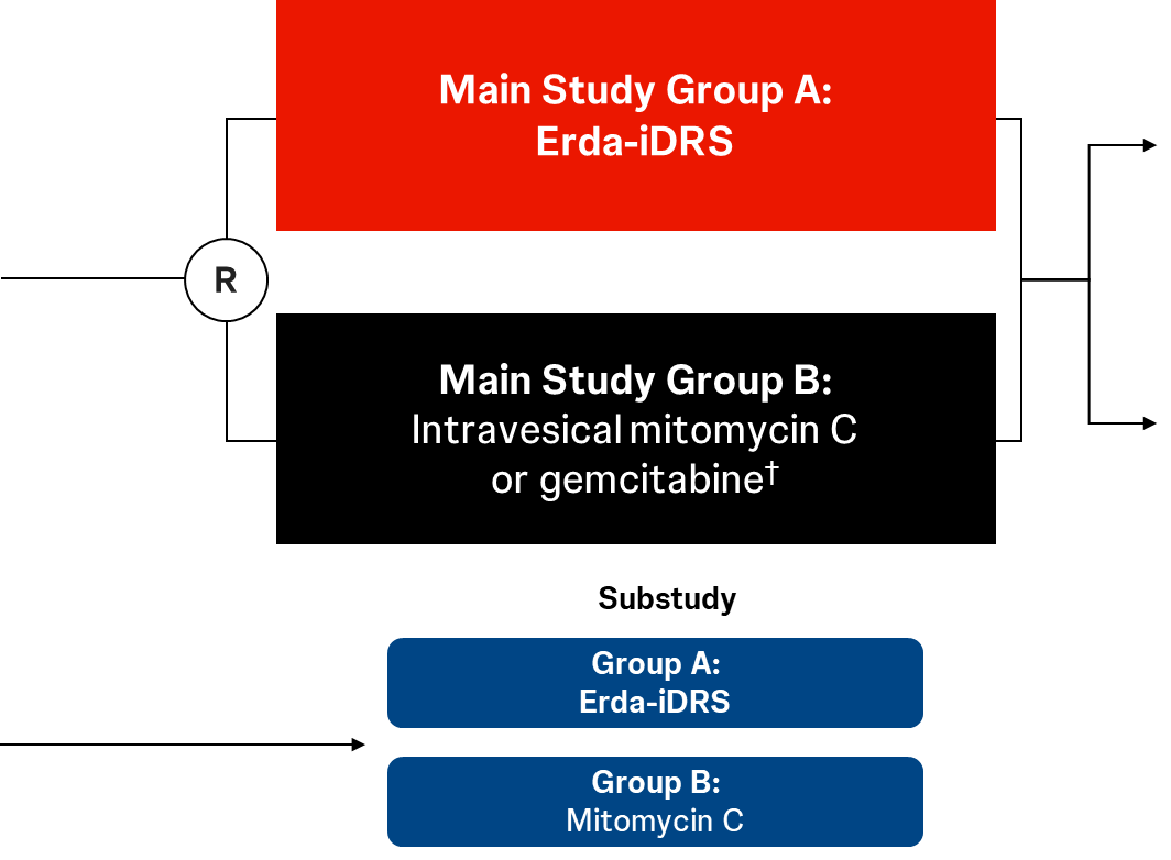 Study design